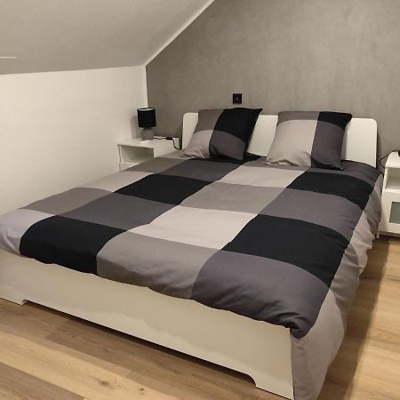 사르게민즈 Le Business, Duplex Moderne Special Pro De Passage 아파트 외부 사진