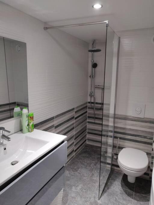 사르게민즈 Le Business, Duplex Moderne Special Pro De Passage 아파트 외부 사진