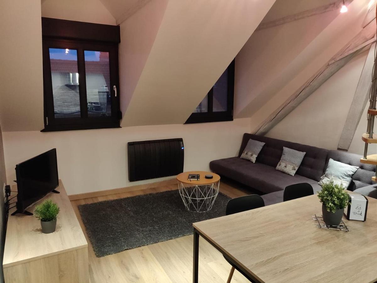 사르게민즈 Le Business, Duplex Moderne Special Pro De Passage 아파트 외부 사진